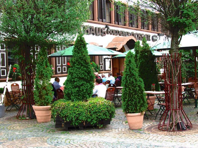 Hotel Zum Goldenen Ochsen Maikammer Esterno foto